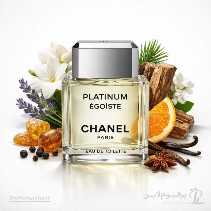 نت های بویایی Chanel Egoiste Platinum