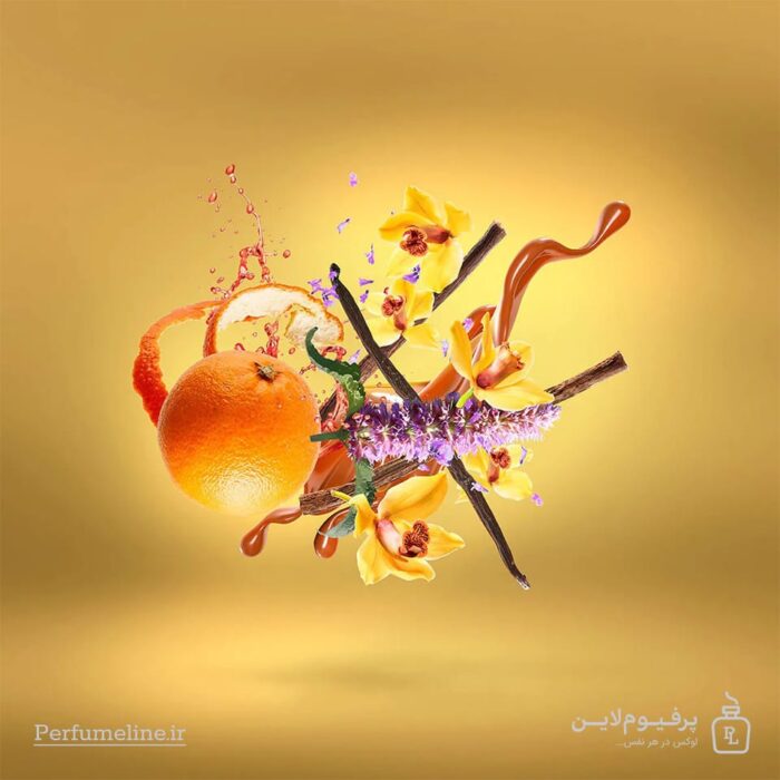 عطر ادکلن کازاموراتی لیرا اصل - Casamorati Lira - Image 3